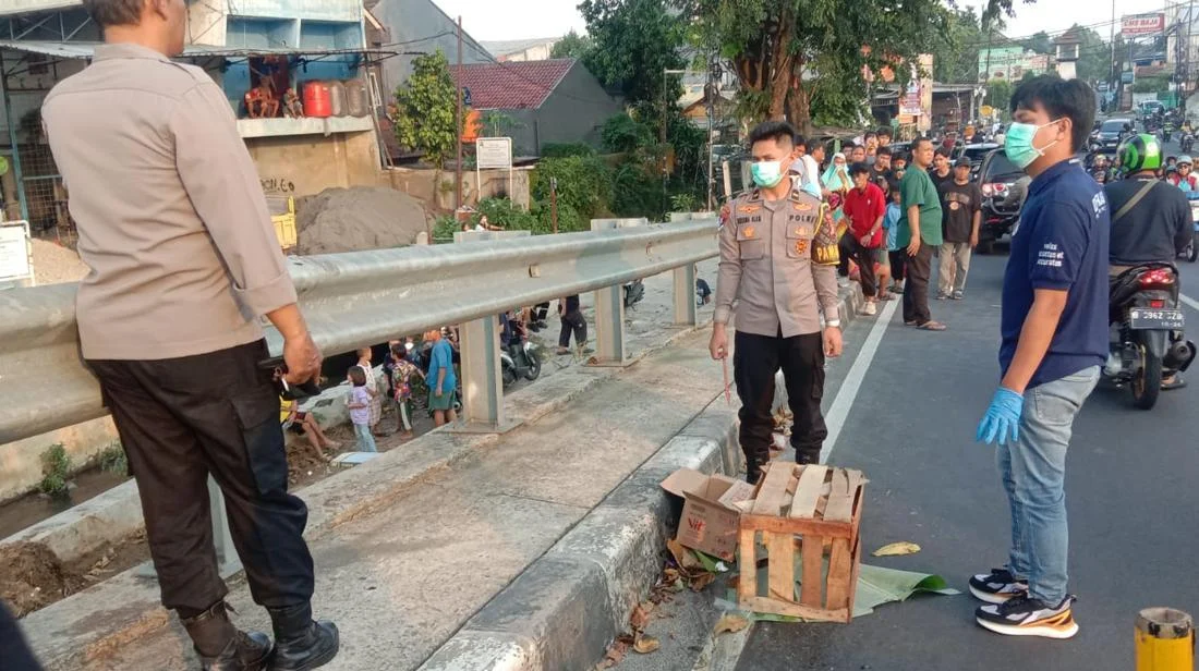 Benda Dikira Mayat Bayi di Flyover Gegerkan Warga Depok, Ternyata Kucing Mati